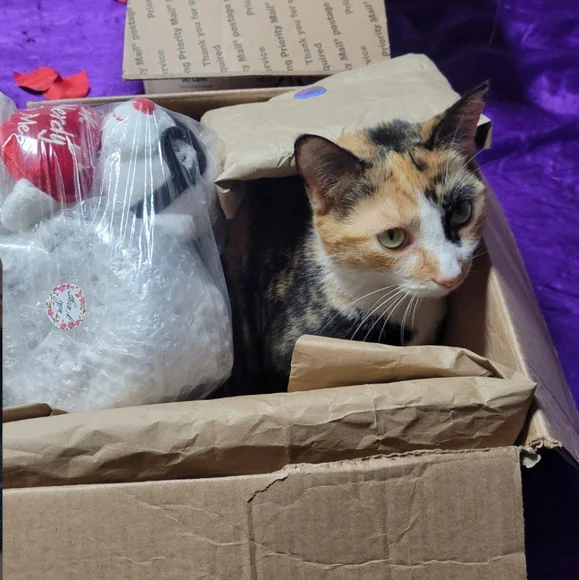 MELODY'S LIVE SHOW HOST LISTING - Picture 8 of 15